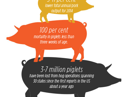 Basic facts on porcine epidemic diarrhea virus - Canadian Food Business