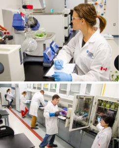 Students at work at the Canadian Food and Wine Institute (CFWI)